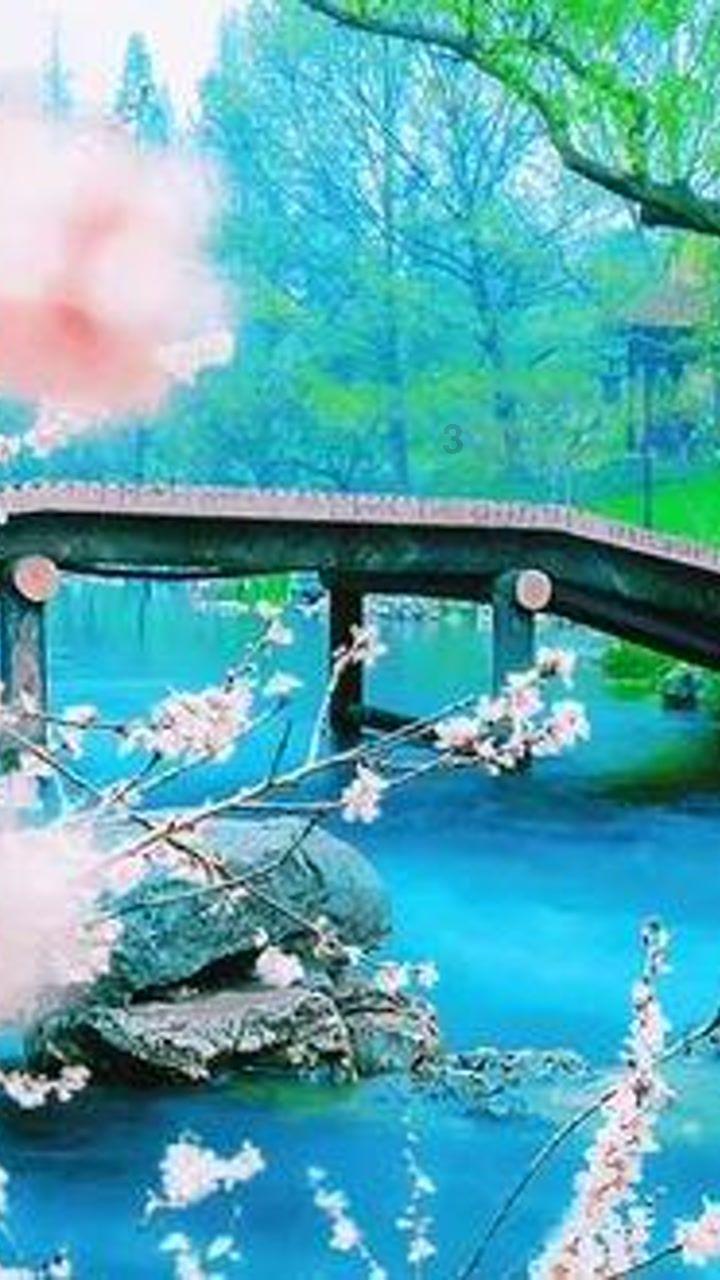 龙魂时刻